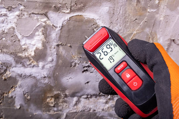 Best Attic Mold Remediation in Mequon, WI