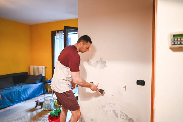 Best Mold Testing and Inspection Services in Mequon, WI